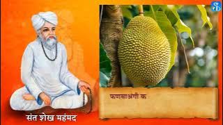 iOS App Development Basics