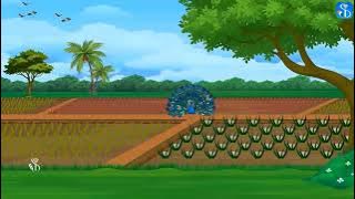 iOS App Development Basics