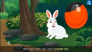 iOS App Development Basics