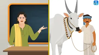 iOS App Development Basics