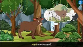 iOS App Development Basics